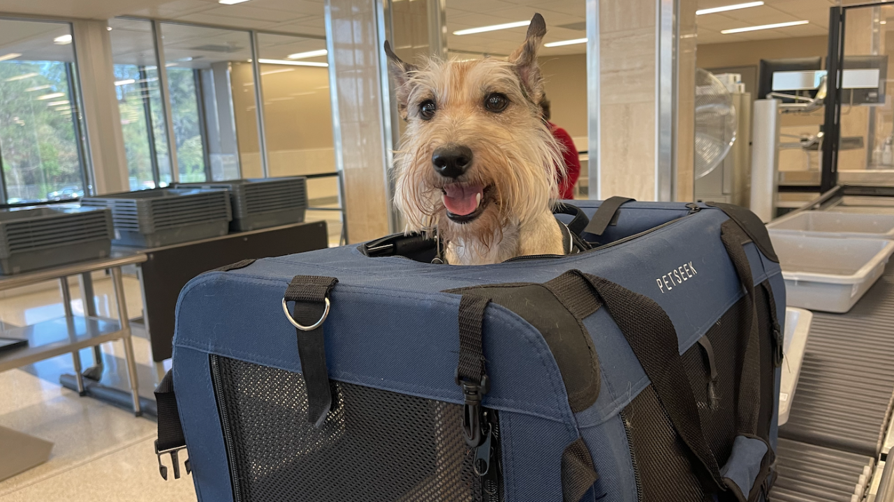Tsa pets deals